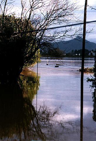 The 5 foot hedge pile is barely visible